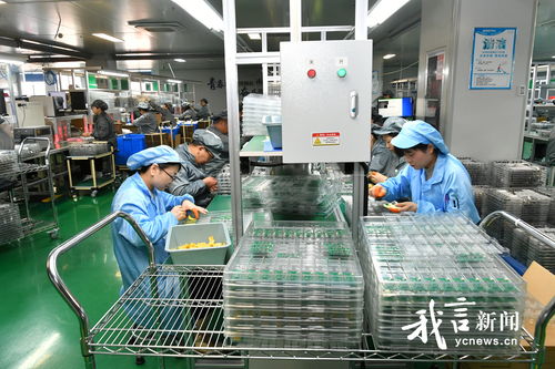 鹽城煥新記 走進(jìn)金驛通光電科技，技術(shù)服務(wù)引領(lǐng)產(chǎn)業(yè)升級(jí)